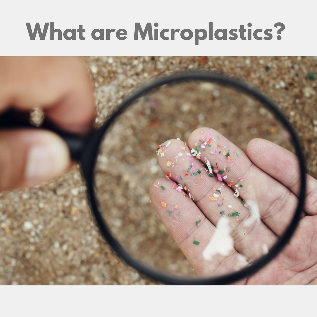 Should We Be Worried About Microplastics?